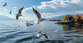 【五鉆小團團】昆大麗雙飛一動5晚6天